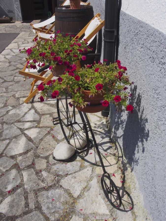 Casa De La Montana Albergue Turistico Avin Bagian luar foto